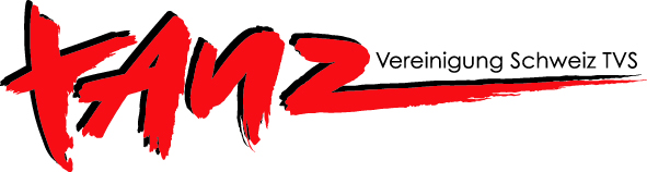 TVS Logo HG hell
